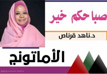 التطبيع ..وأشياء اخرى